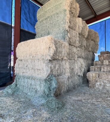 Big Bales Bermuda