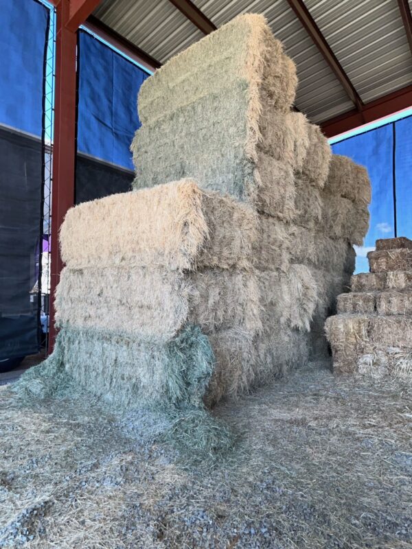 Big Bales Bermuda