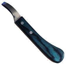 Bloom Loop Blade Knife